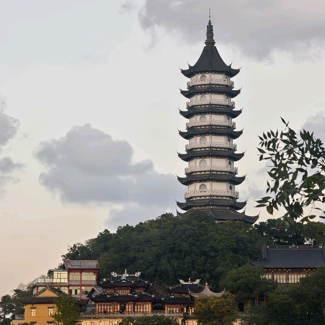 板正哦//七叔！