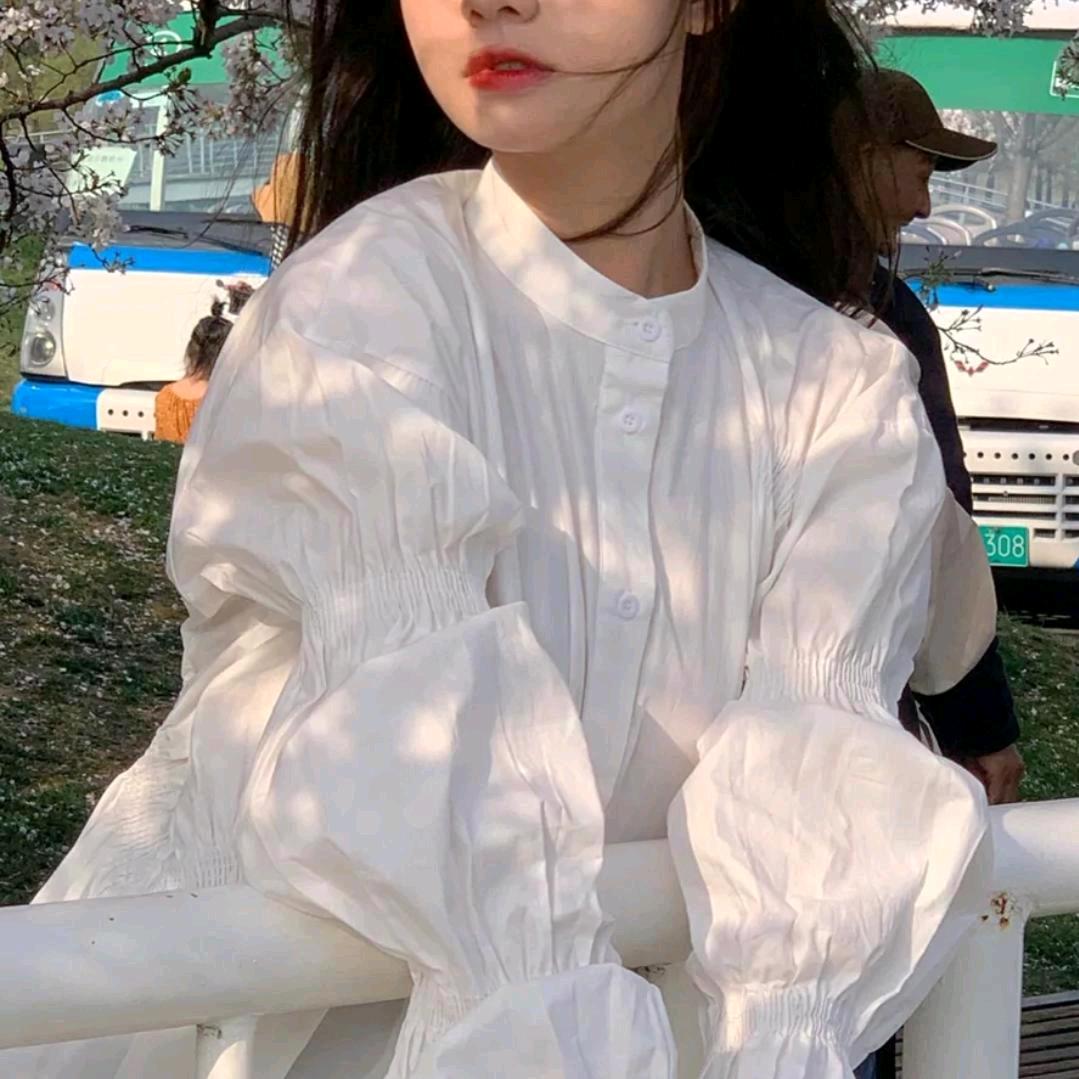 YANGY.