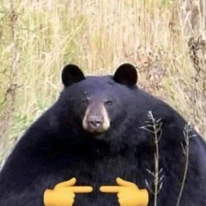 能 能