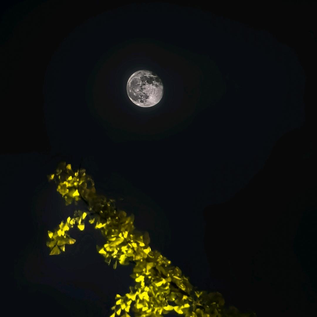胡小幺