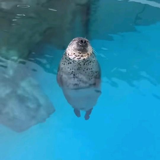 坐在家里