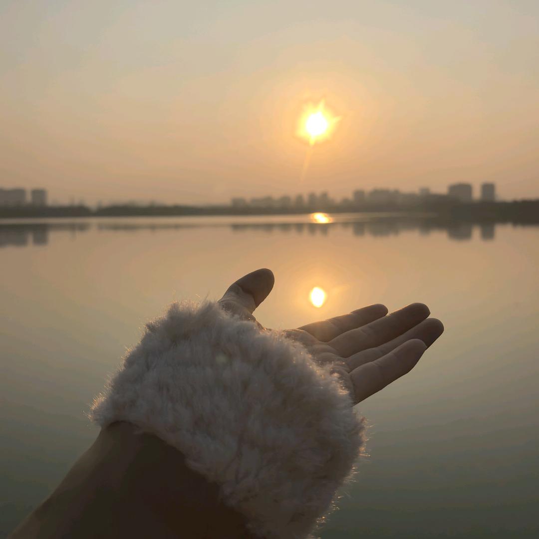 萝莉陈