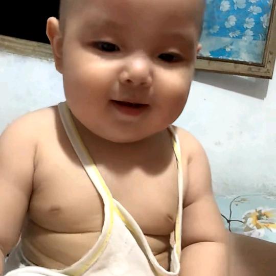 丛胖胖的日常[550]🐘