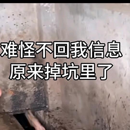 菜鸟后羿申请出战