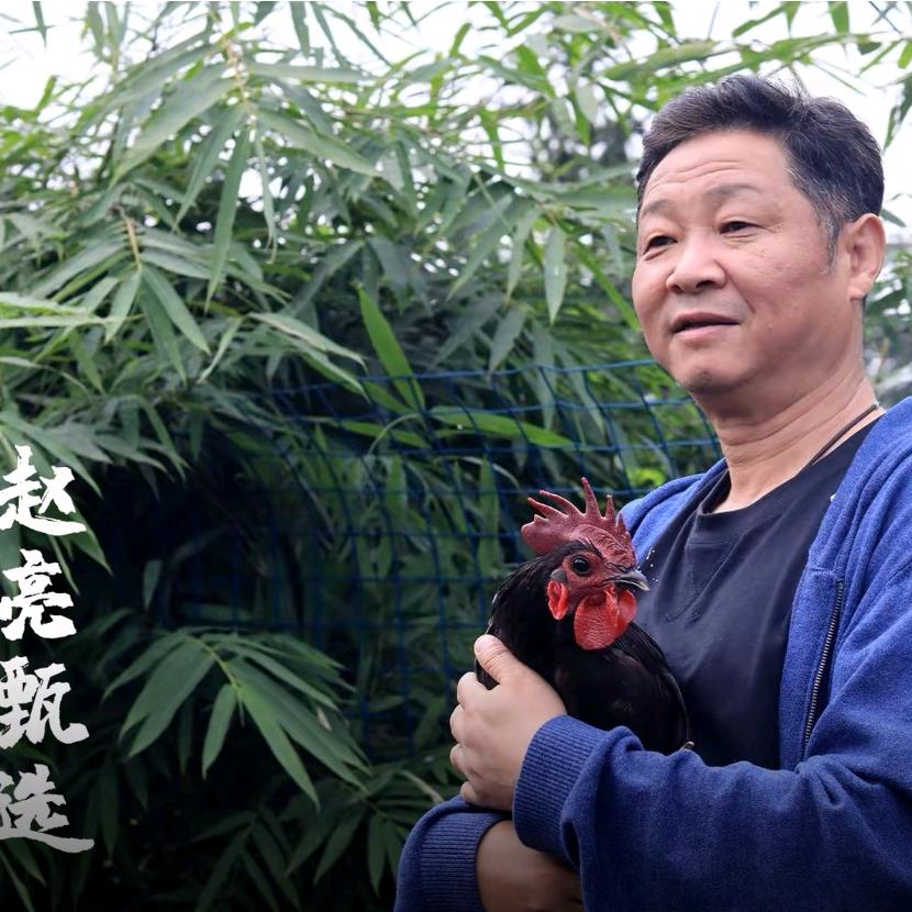 御凤甲柴火鸡广元店