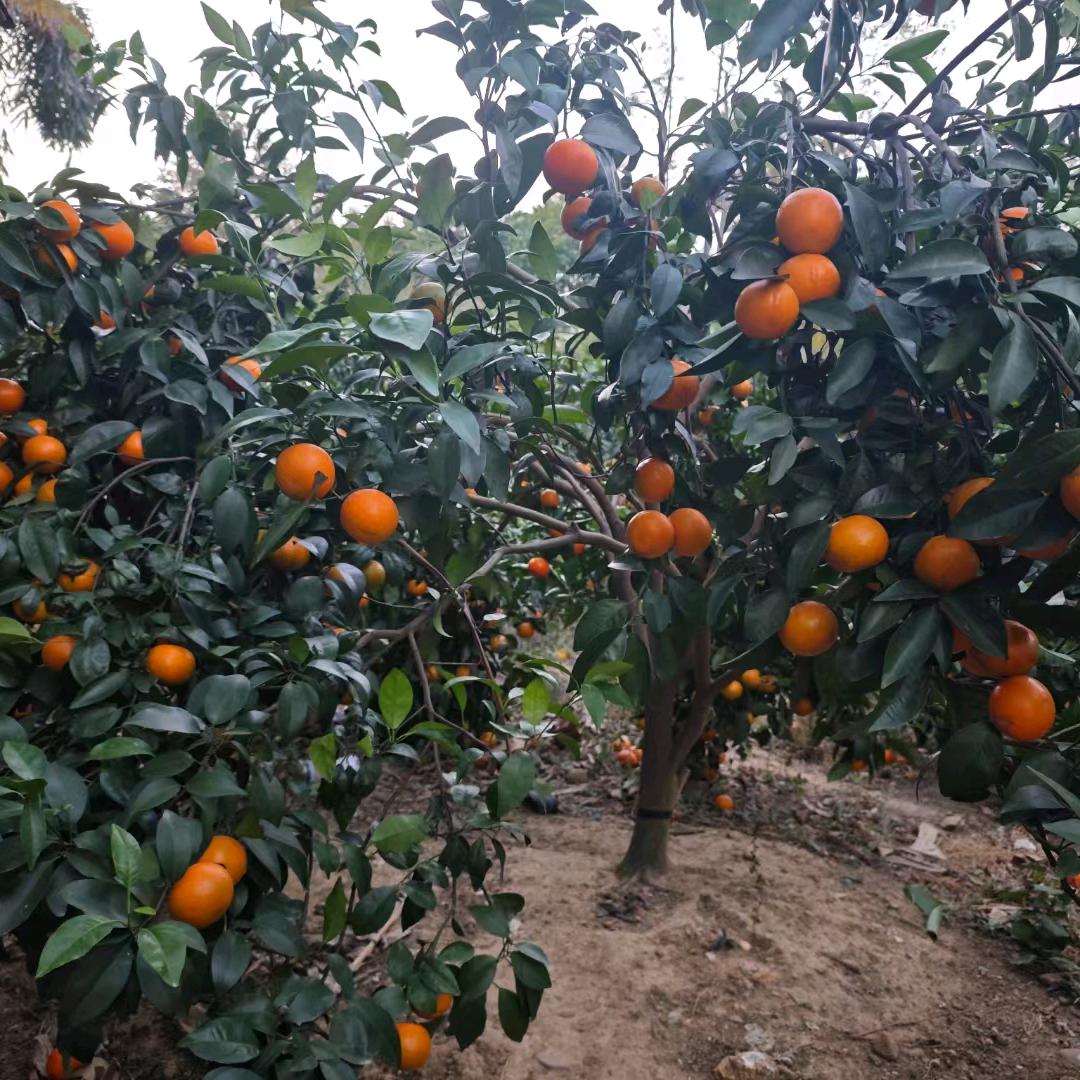 我的人生我做主