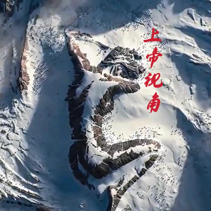 姚家小子