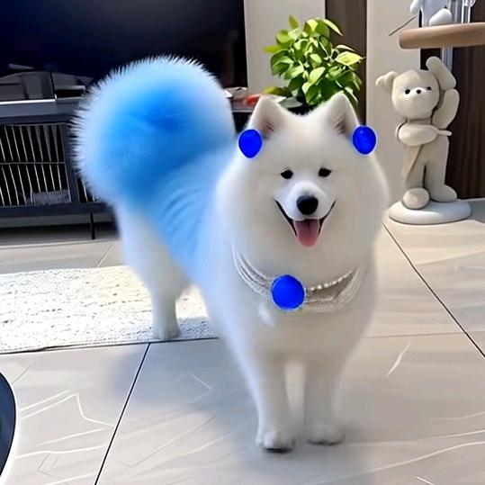 秦格格