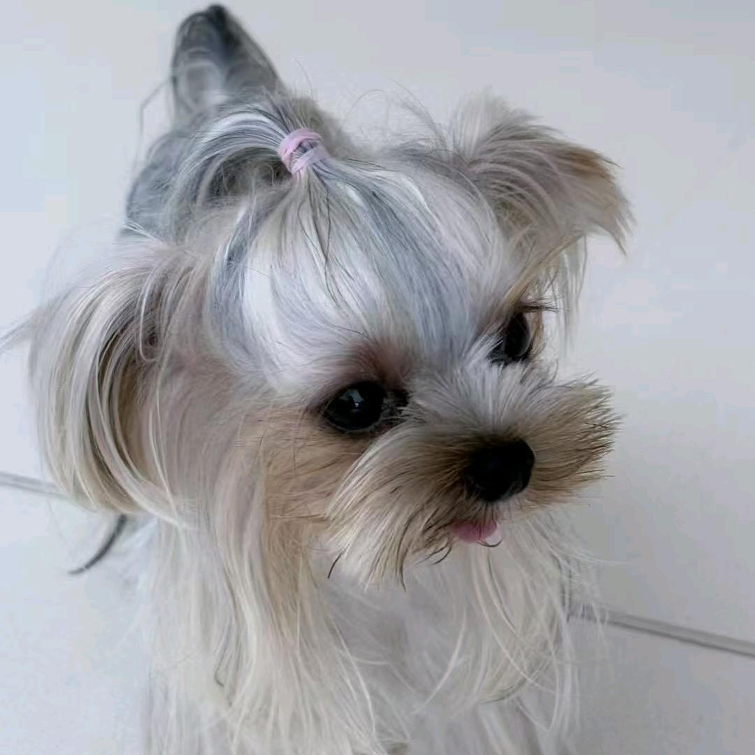 我帅气的名字已被隐藏