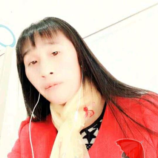 周琴