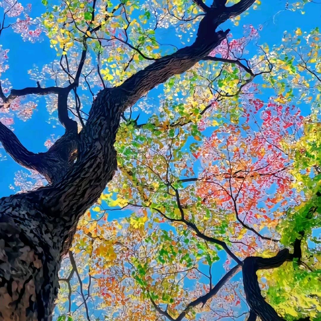 我要淘蜜蜡珍珠翡翠