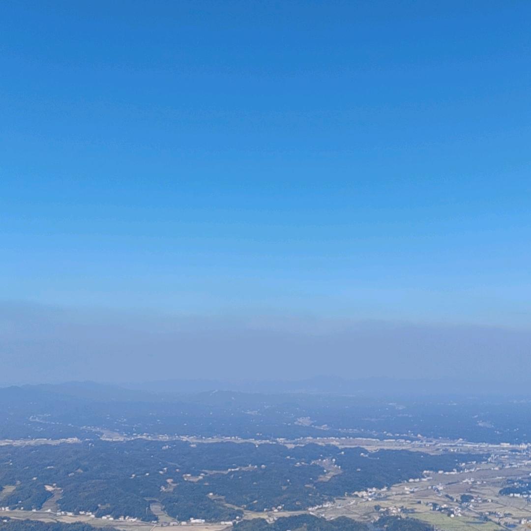 彦页203
