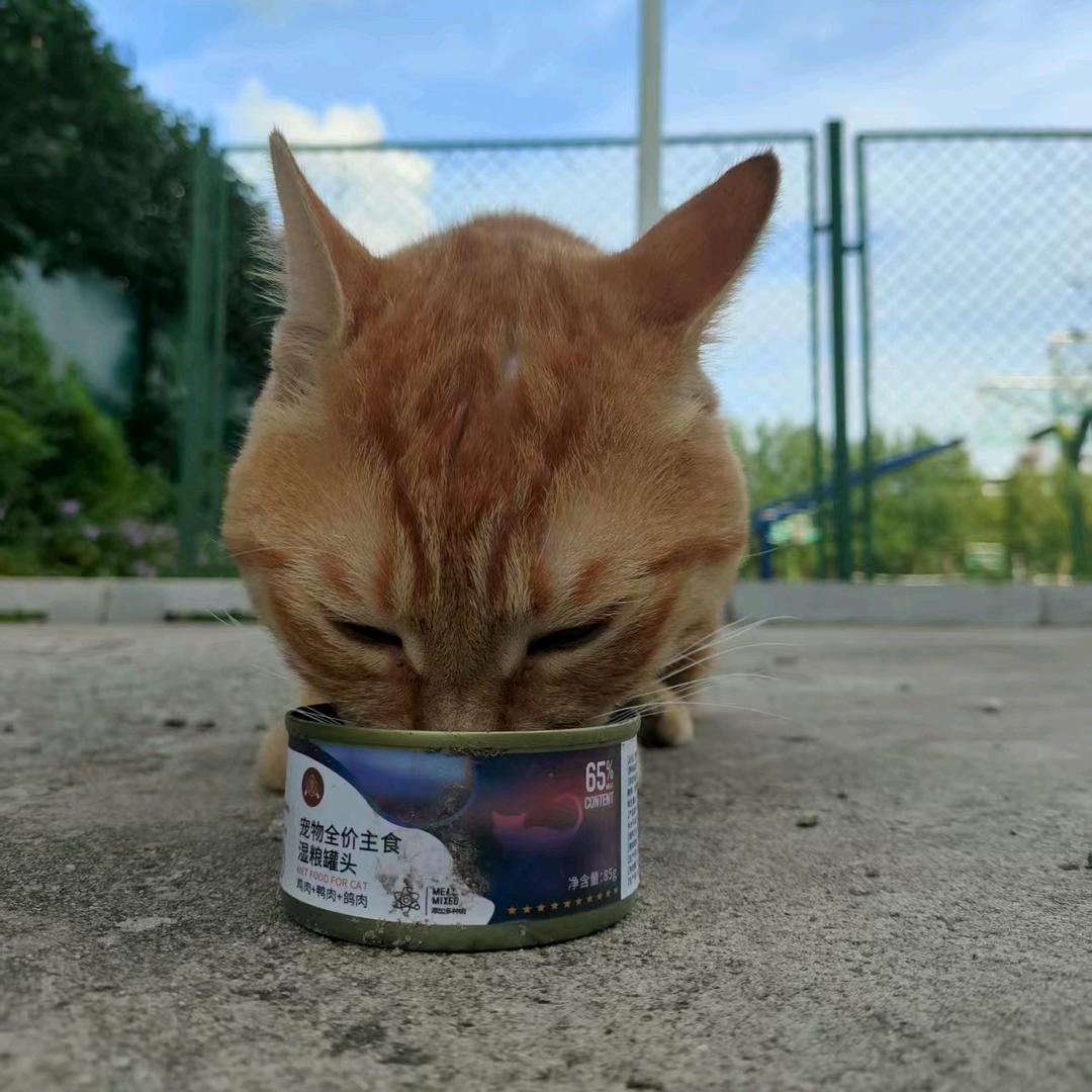 开心的梨铃薯