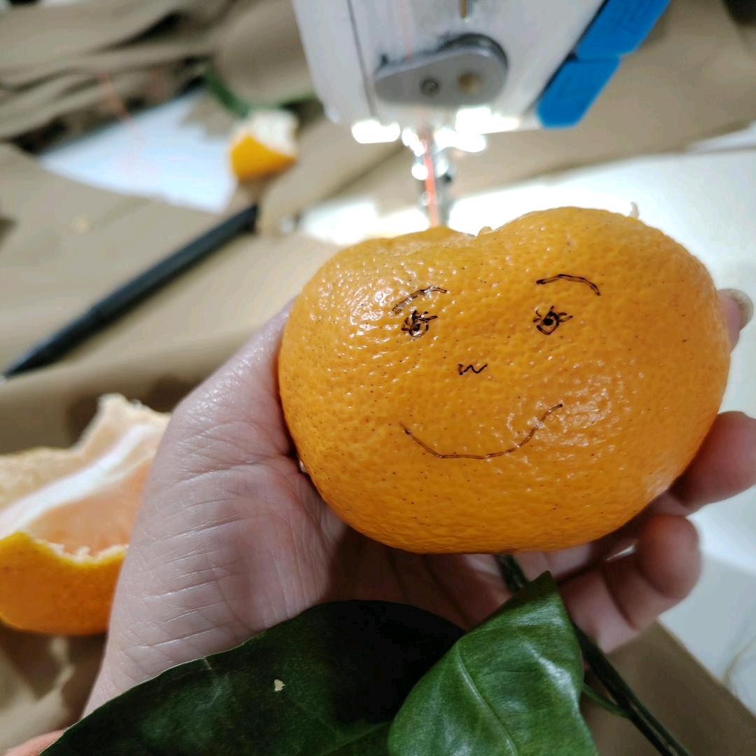贝贝🍒