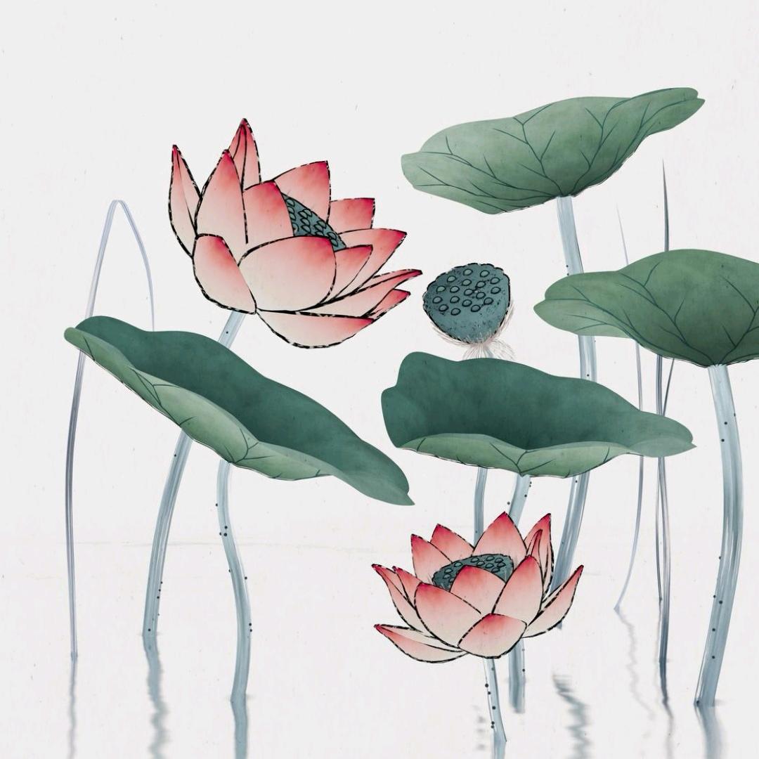 木木9.10