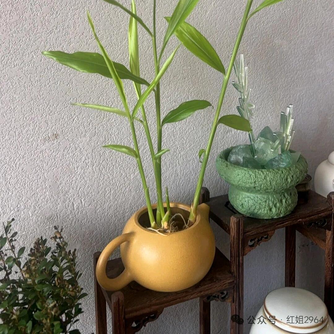 A～暮雪初晴～A