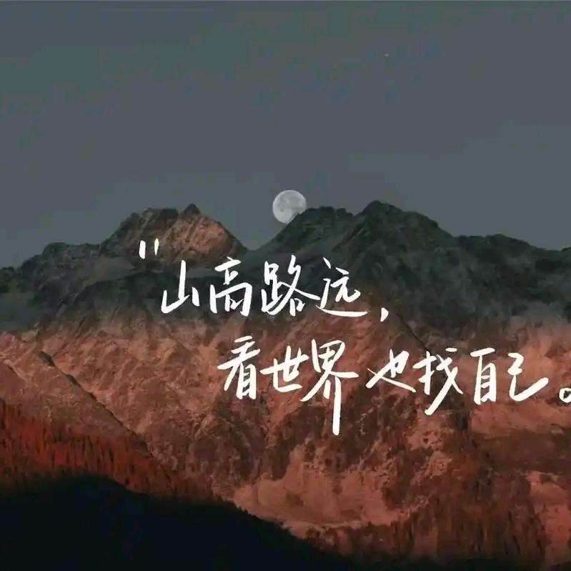 等风来