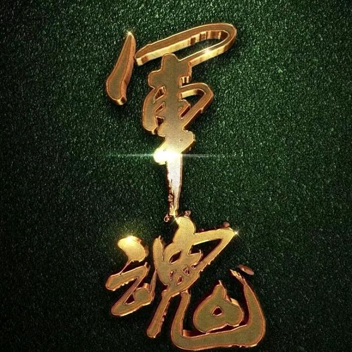 文明国际张