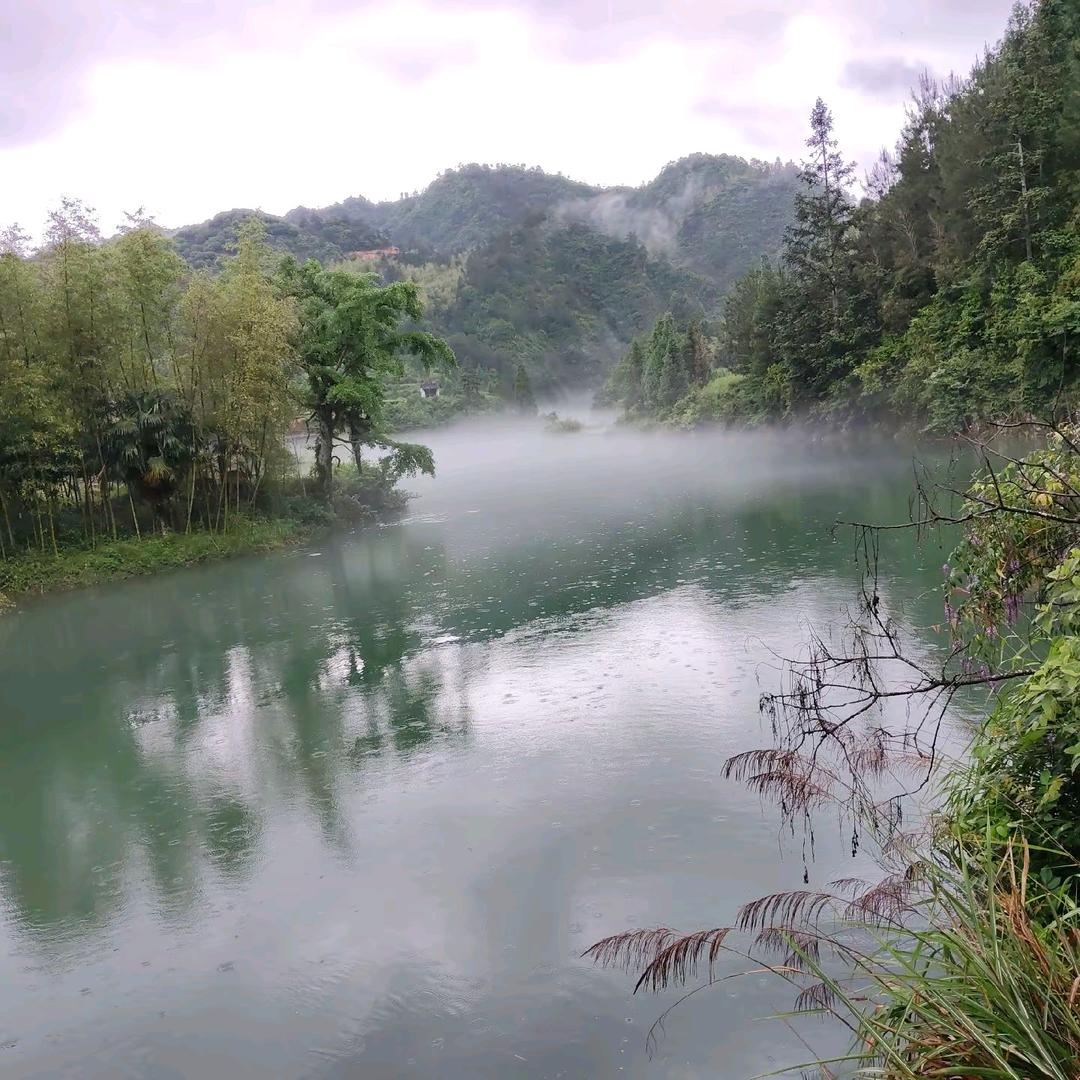 听雨·落下的声音