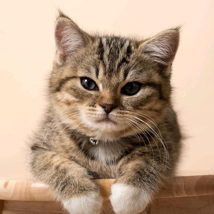 ✨来看看听听✨
