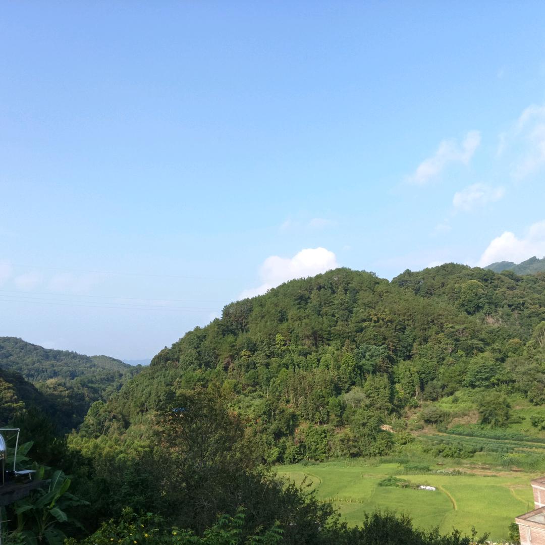 农先生