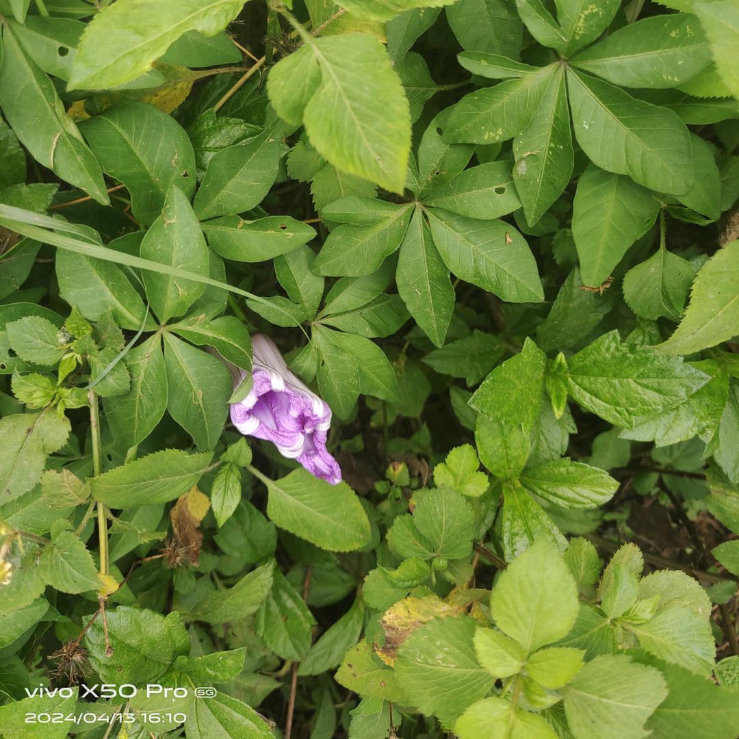 对方正在输入中