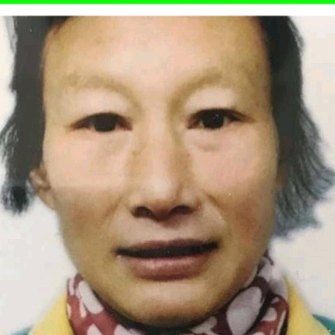 春风再度重相逢