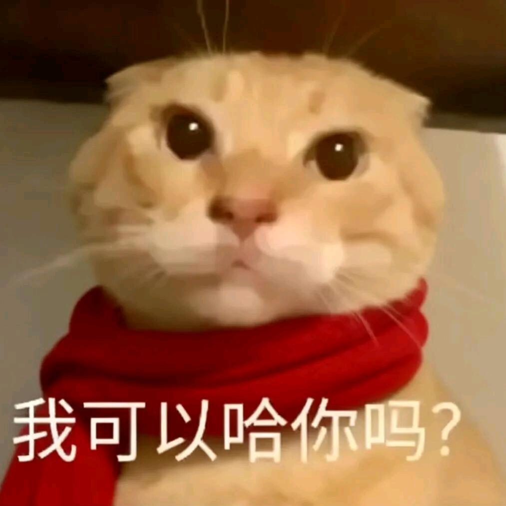 小讠