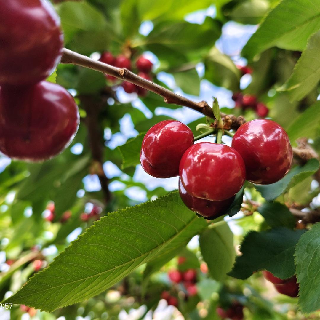 瓦房店绿享生态园