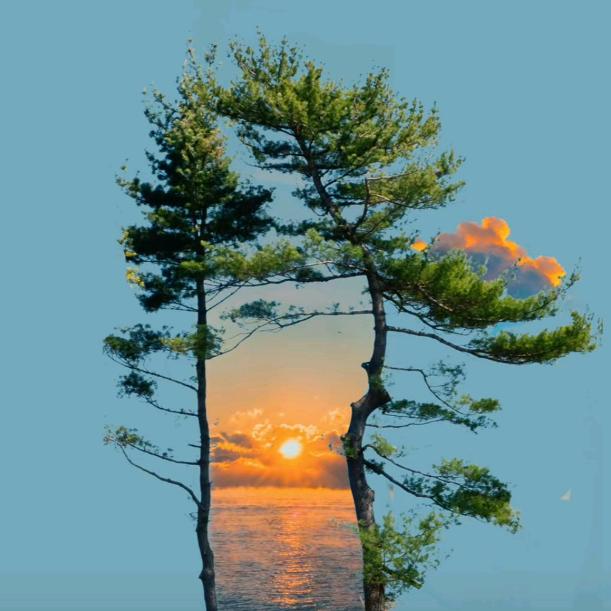 ～花若盛开～蝴蝶自来～