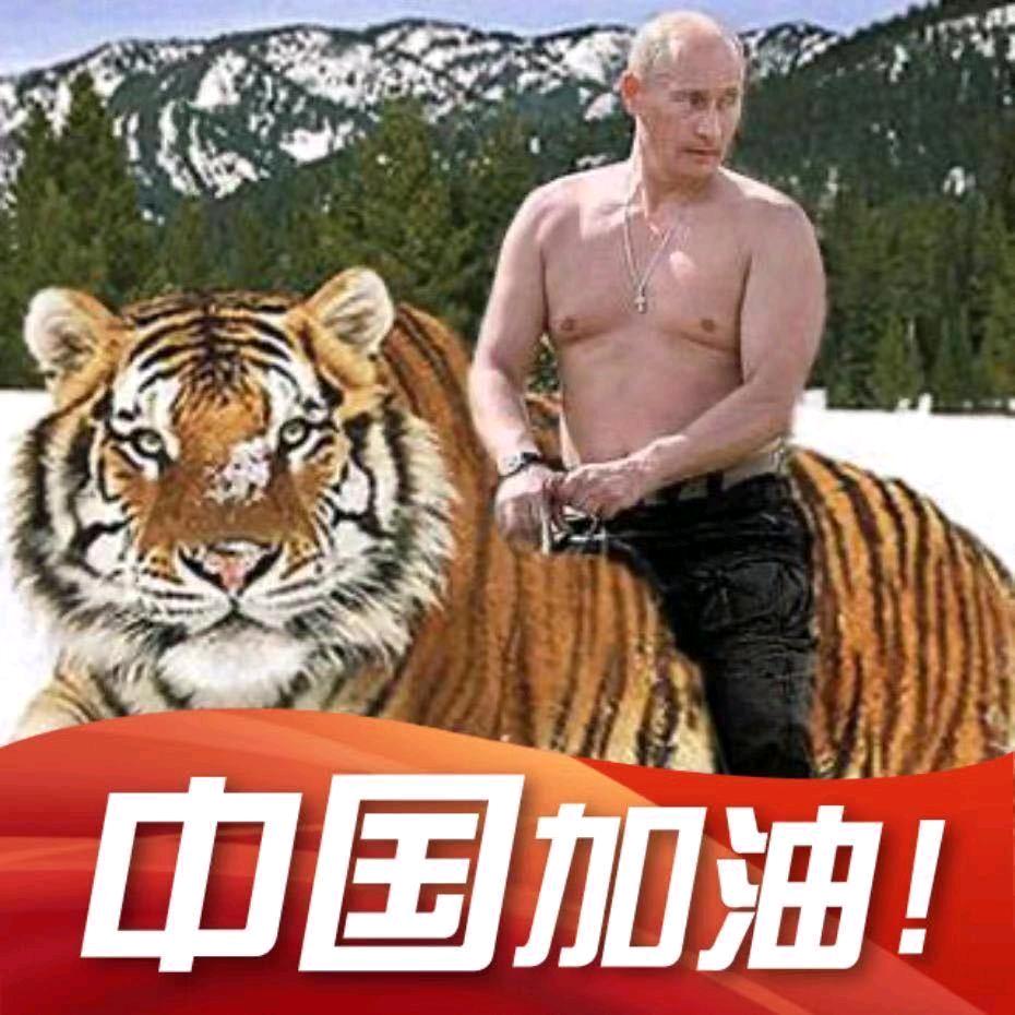 克格勃大老板🐯🐯🐯🐯