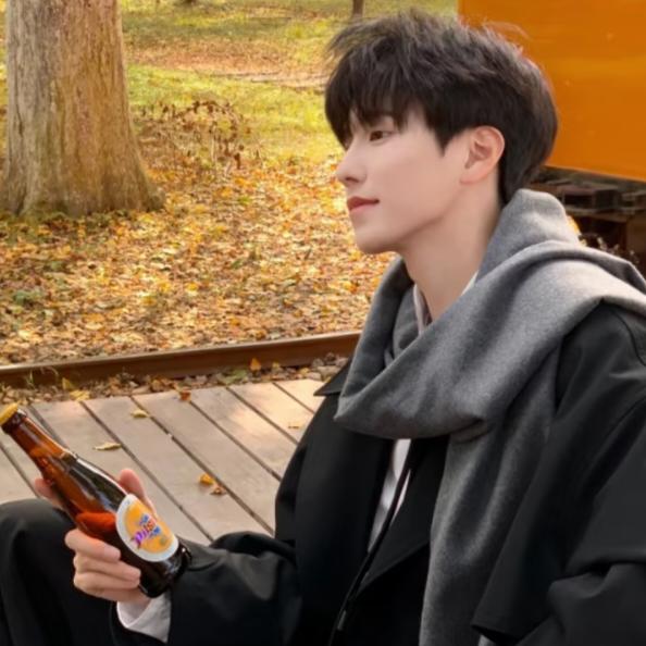 白昼星（骂骂咧咧且忙碌版）