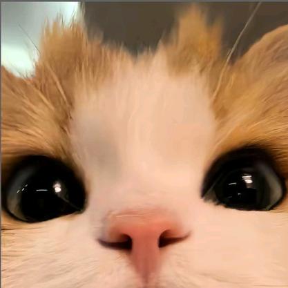 jjj