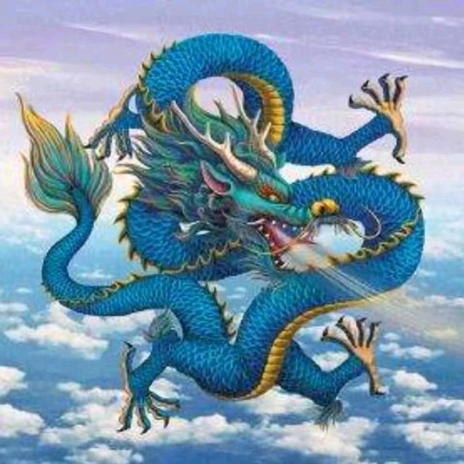✨暮歌✨