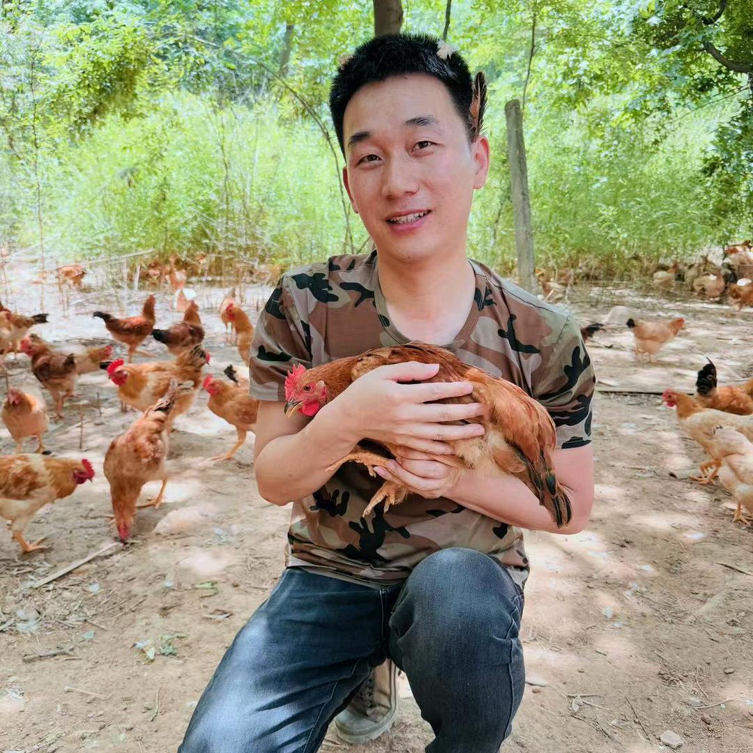 张益宁皖南土鸡蛋