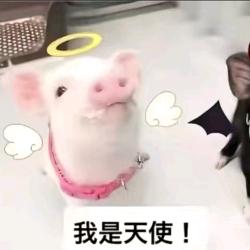 喜欢김민정