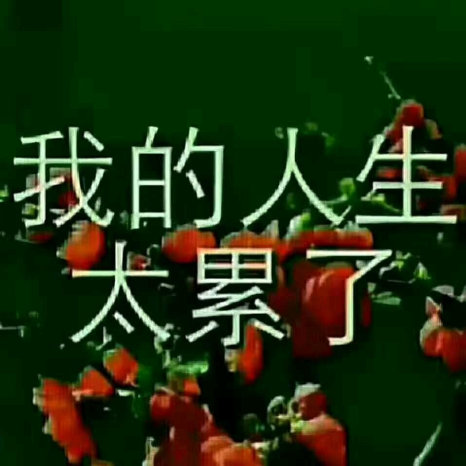 苦中作乐（杨）