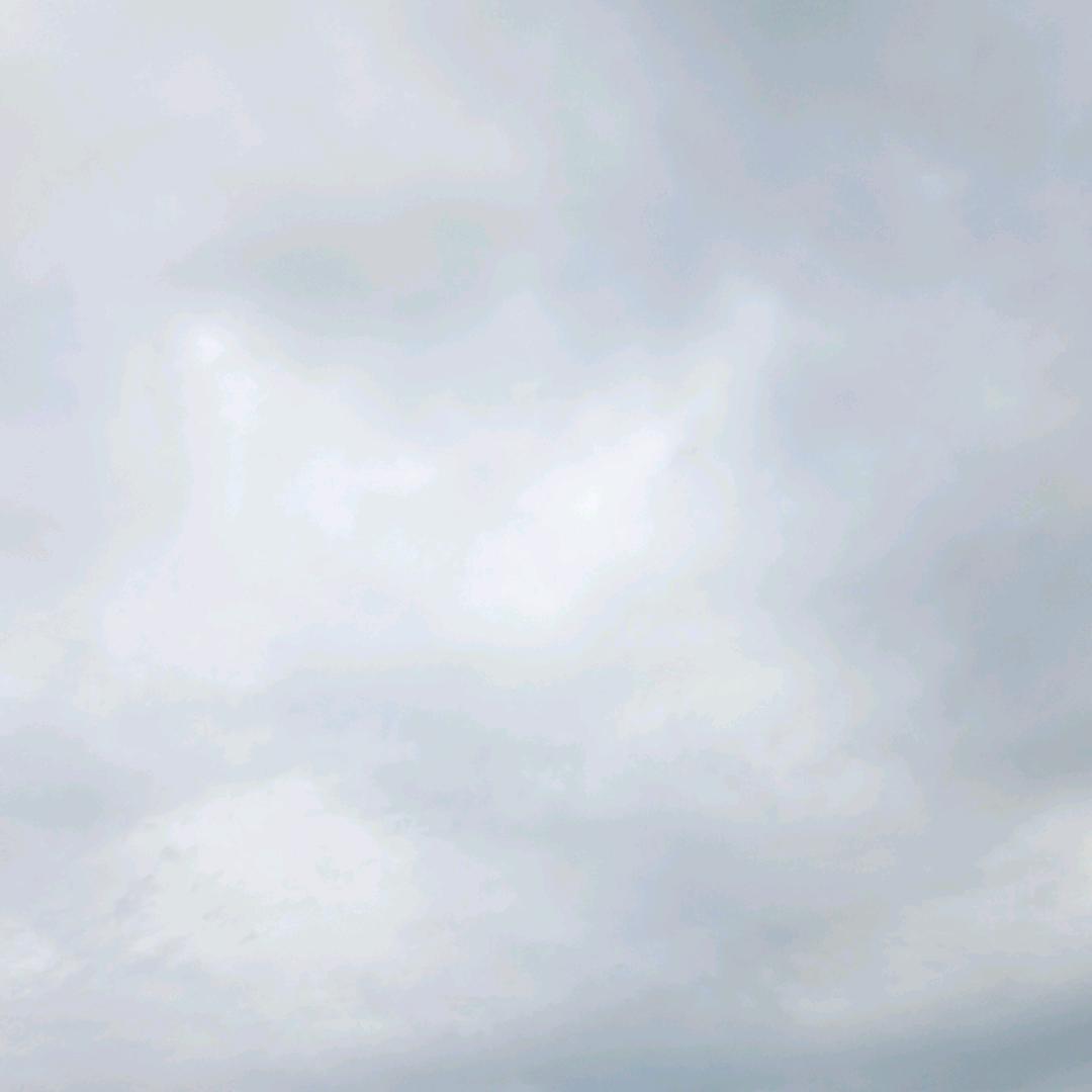 江西兵哥