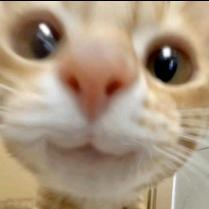 cui