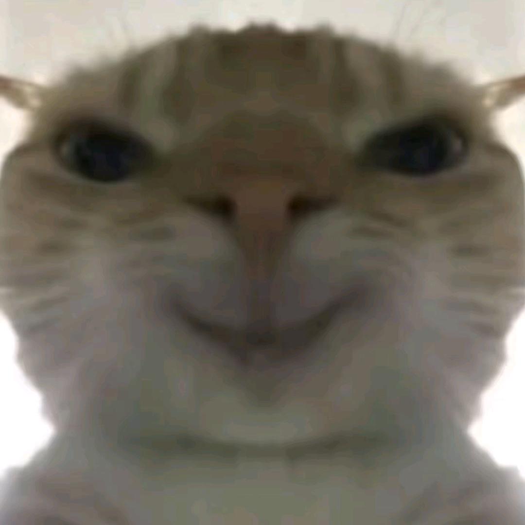 风鸣（三角洲行动）