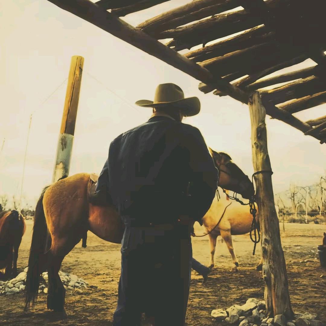 等你读懂我的鱿鱼时我已经变成铁板烧了🐙