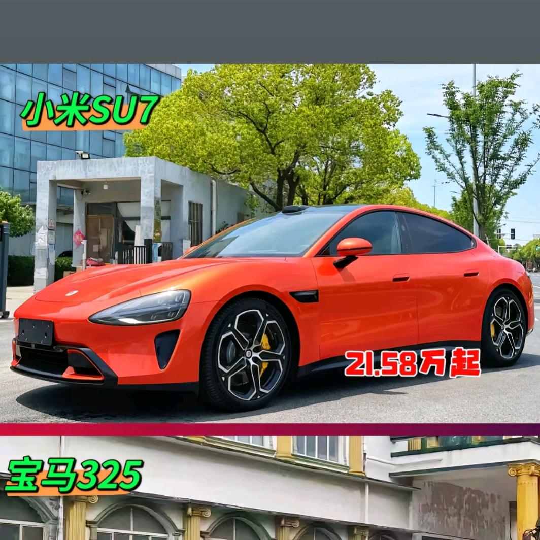 东山再起你是谁