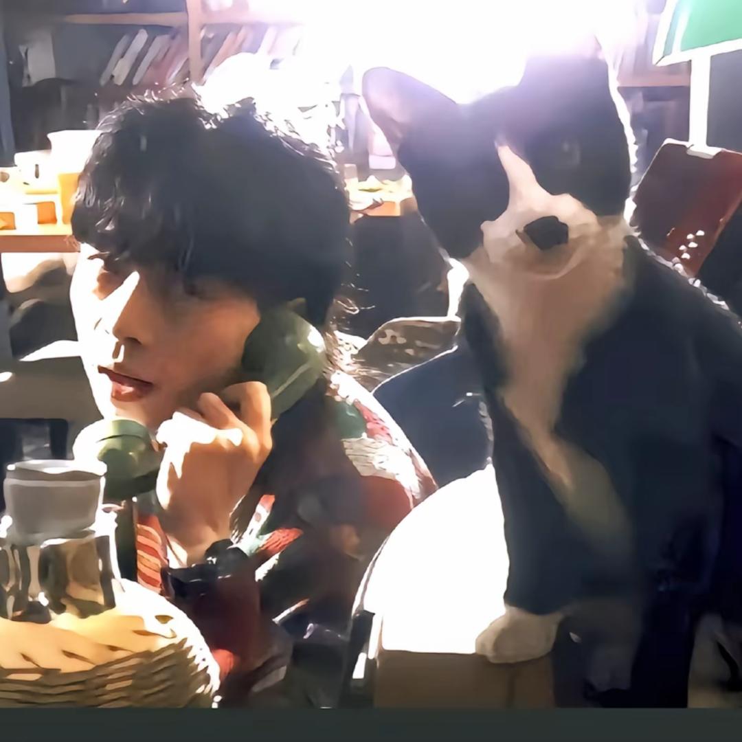 妖怪🦔