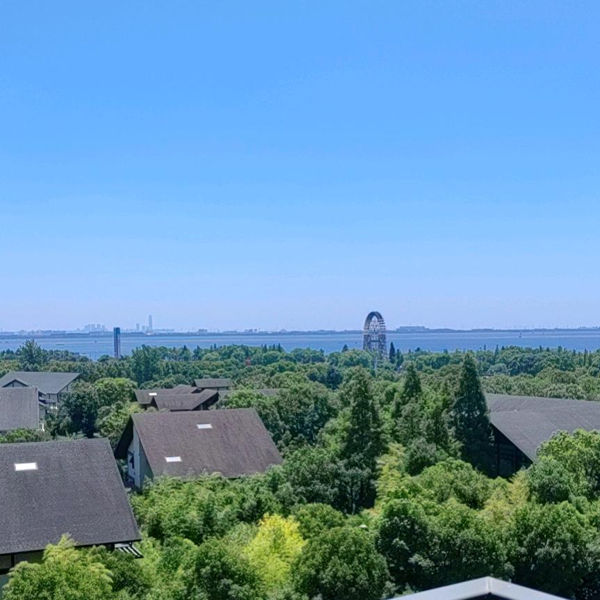 放下1219【佃河强强】