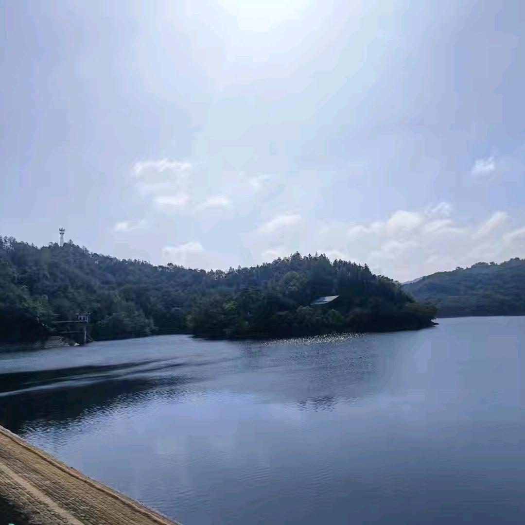 曾曾日上