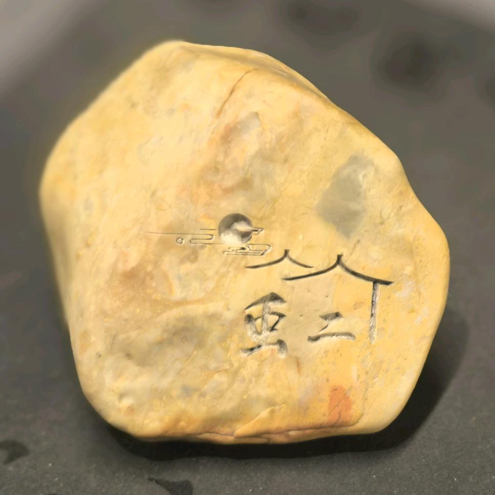 去有风的地方🍃