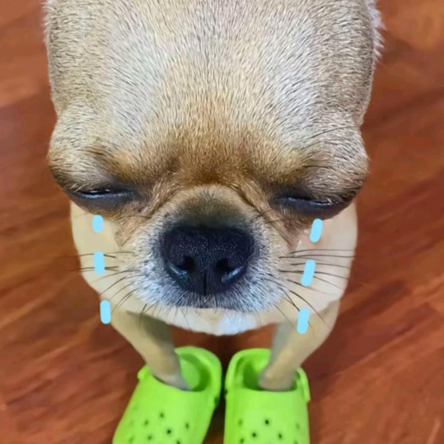 静子
