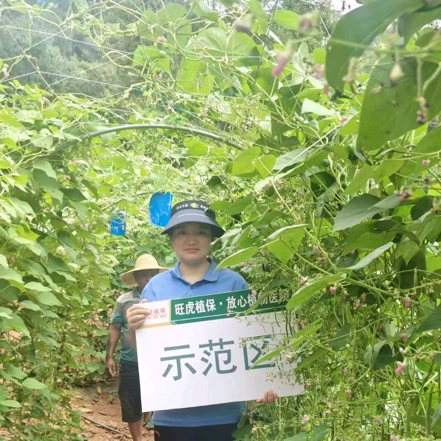 临沧仙姑讲农资