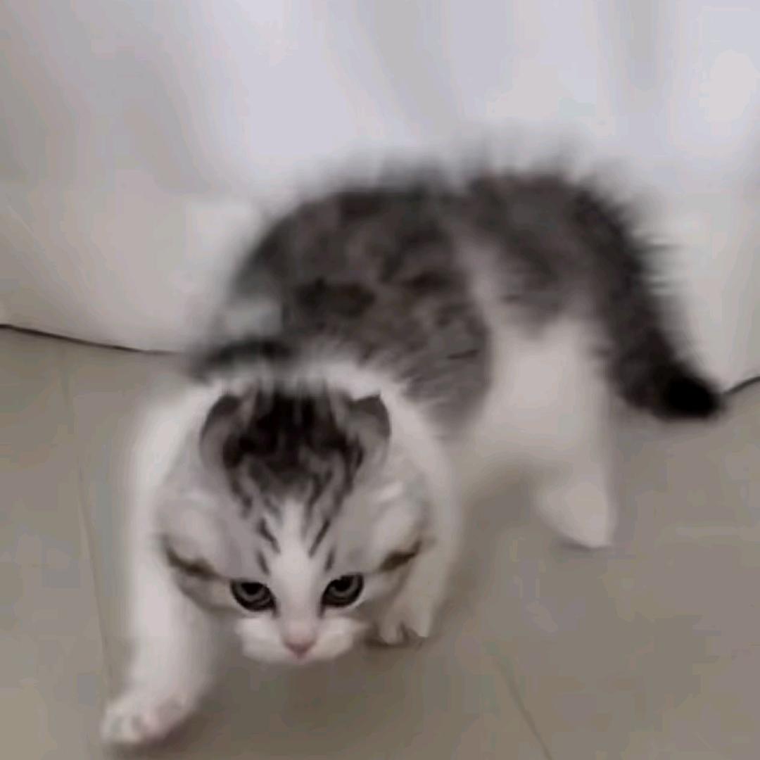 τ