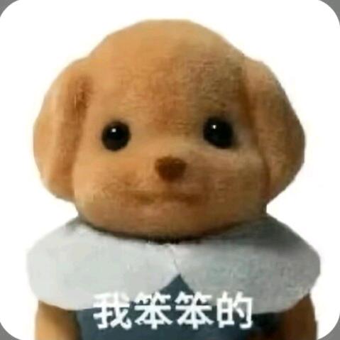 我笨笨的🧸